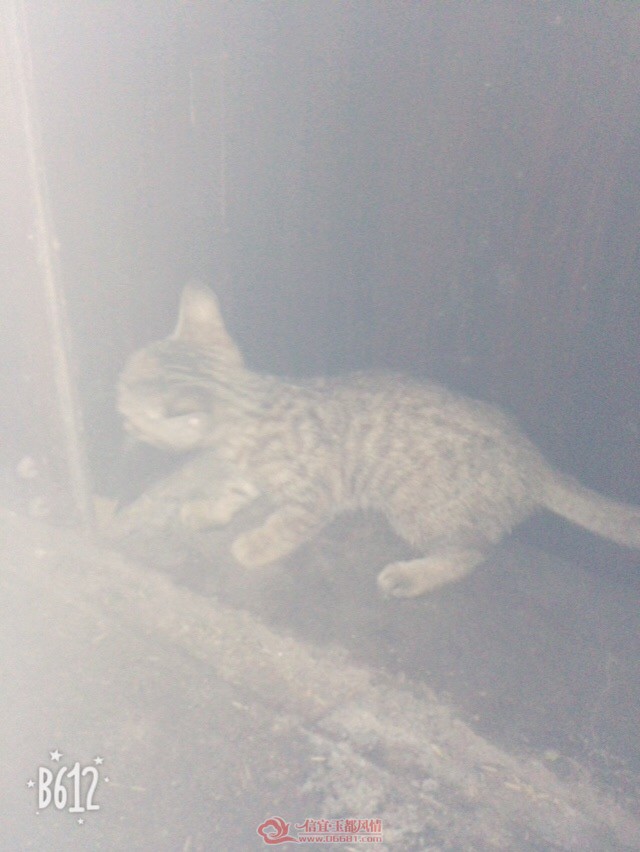 image.jpeg
