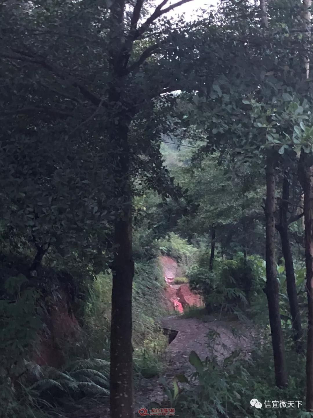 ΢��ͼƬ_20190828101247.jpg