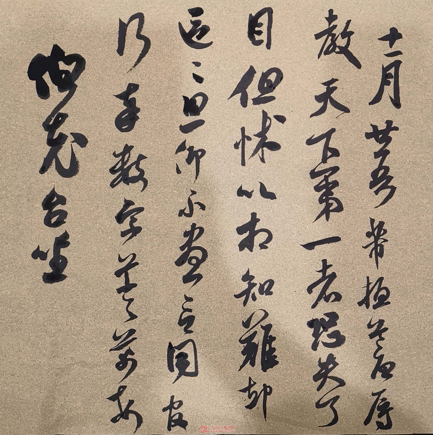IMG_20190506_015327.jpg