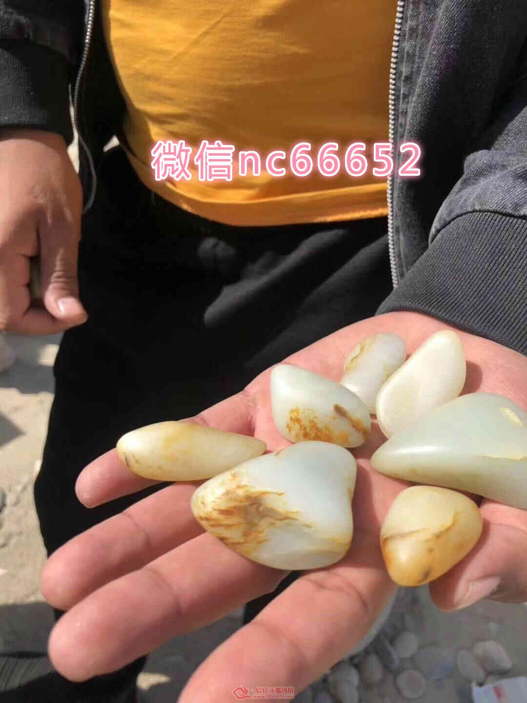 01.jpg