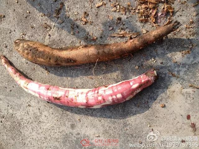 ΢��ͼƬ_20191029141745.jpg