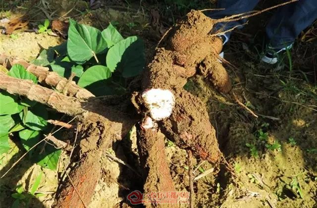 ΢��ͼƬ_20191029141738.jpg