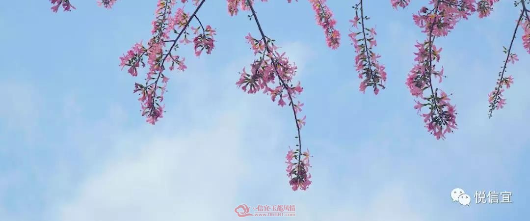 ΢��ͼƬ_20191127094926.jpg