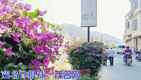 �����硱������ֵ��  Ǯ�����˾ӻ�������չ��������