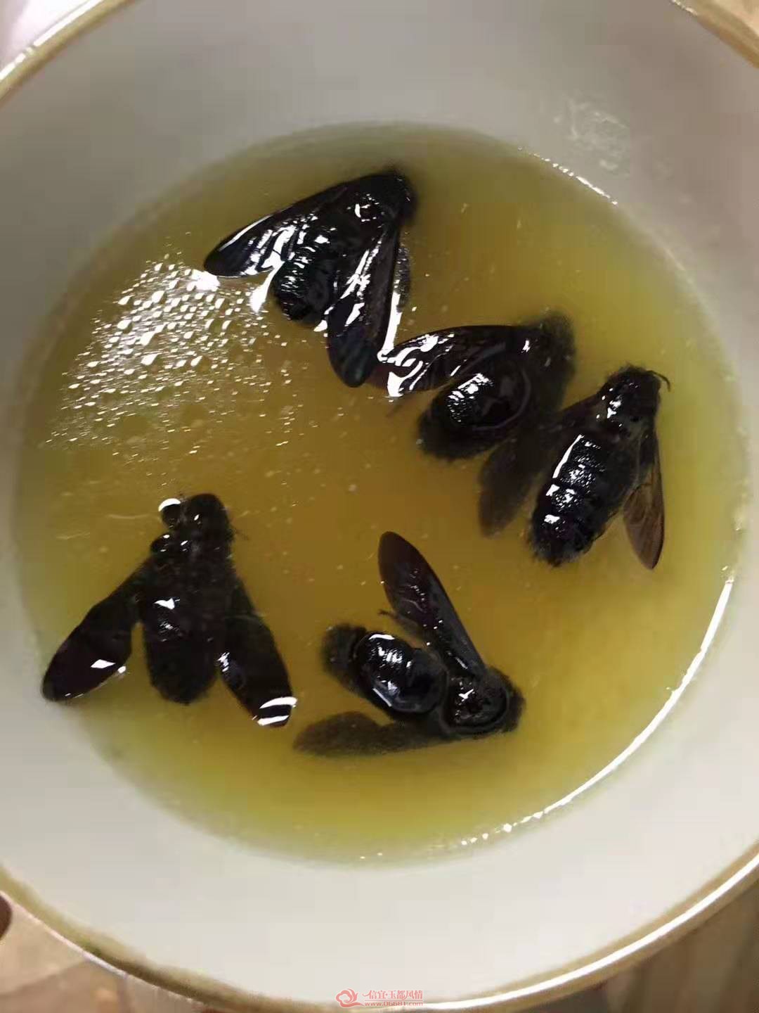 ΢��ͼƬ_20191204112135.jpg