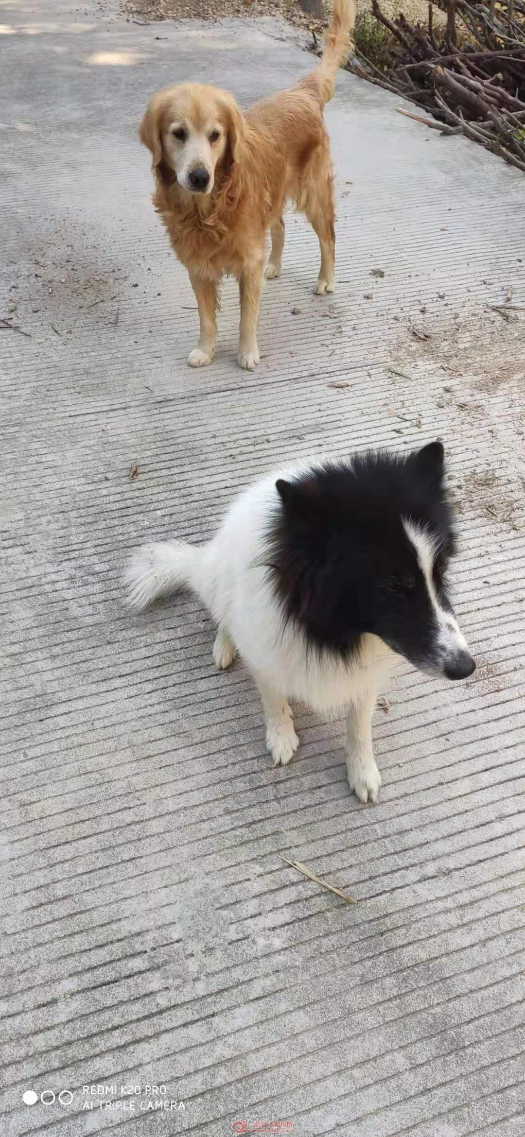 ΢��ͼƬ_201912071056463.jpg
