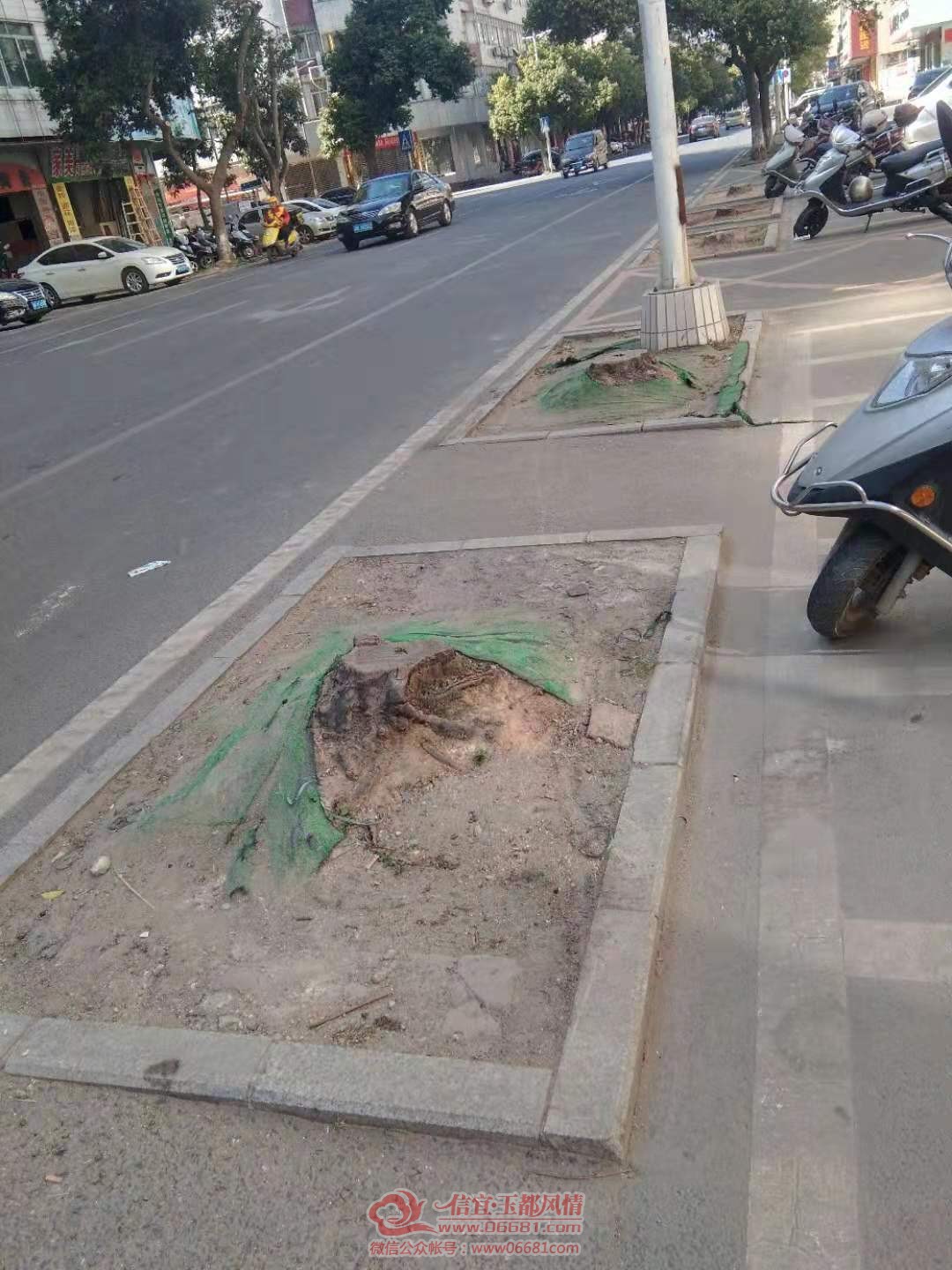 ΢��ͼƬ_20191218150217.jpg