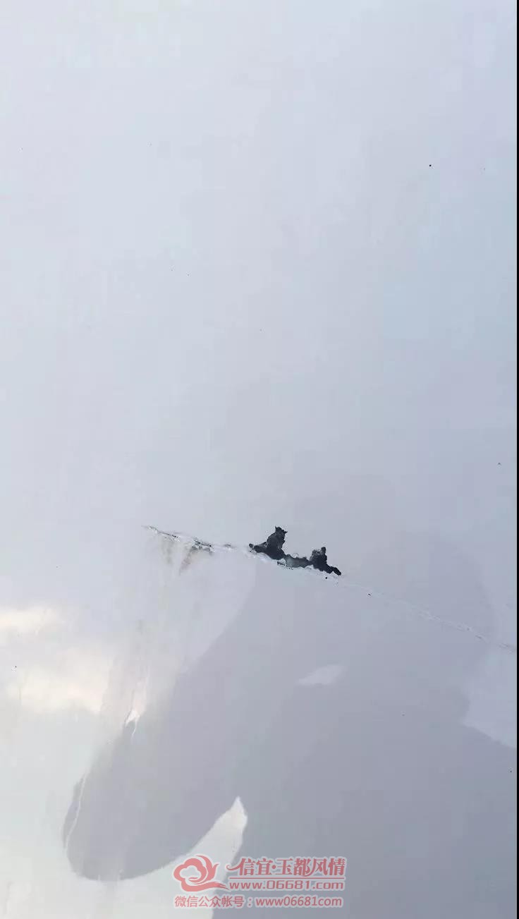 ΢��ͼƬ_20191220100636.jpg