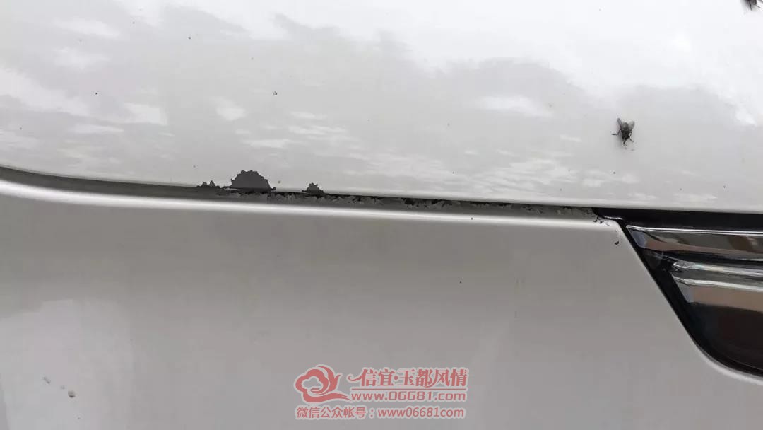 ΢��ͼƬ_20191220100633.jpg