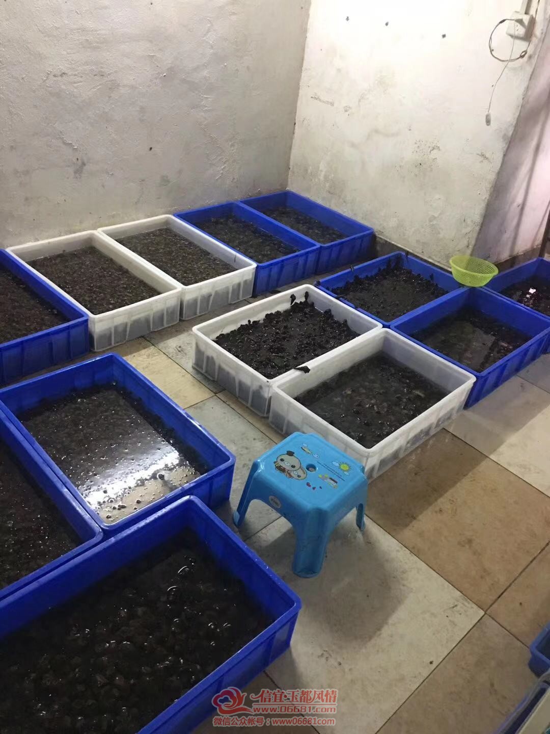 ΢��ͼƬ_20191227211319.jpg