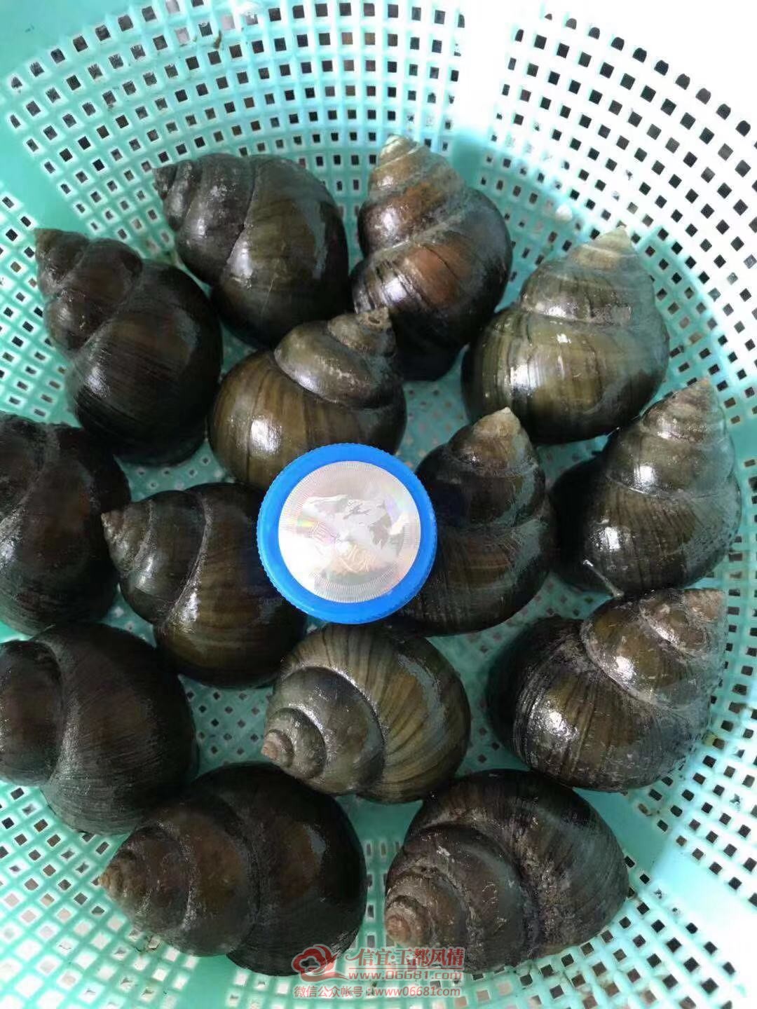 ΢��ͼƬ_20191227211310.jpg