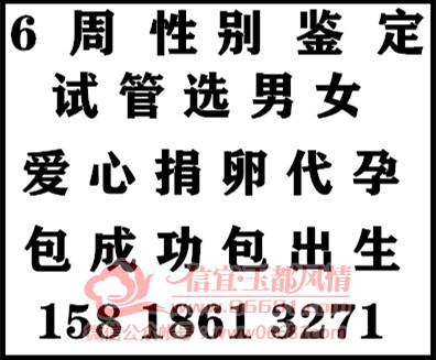 sy_20110113220255348736_����.jpg