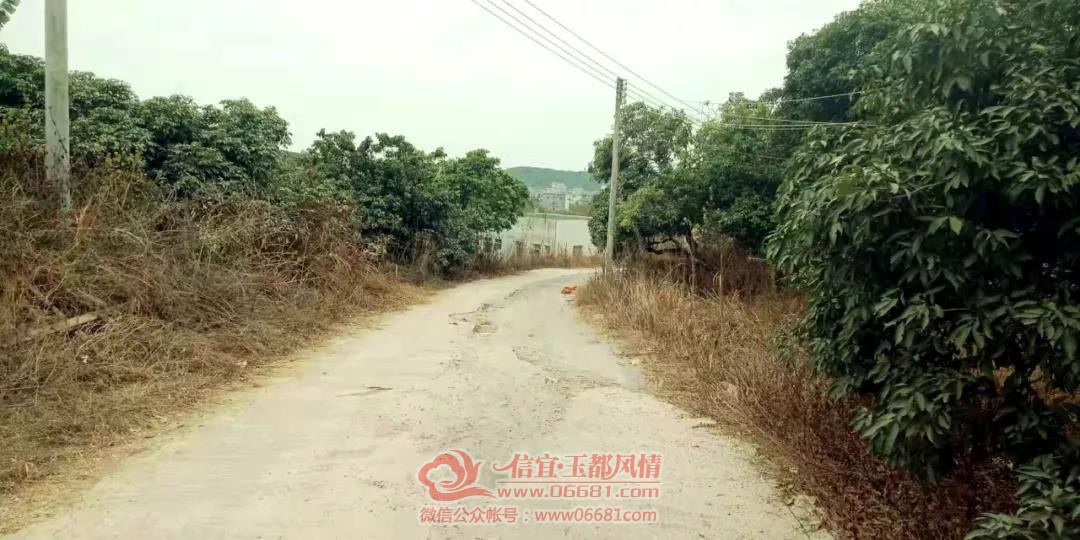 ΢��ͼƬ_20200105091442.jpg