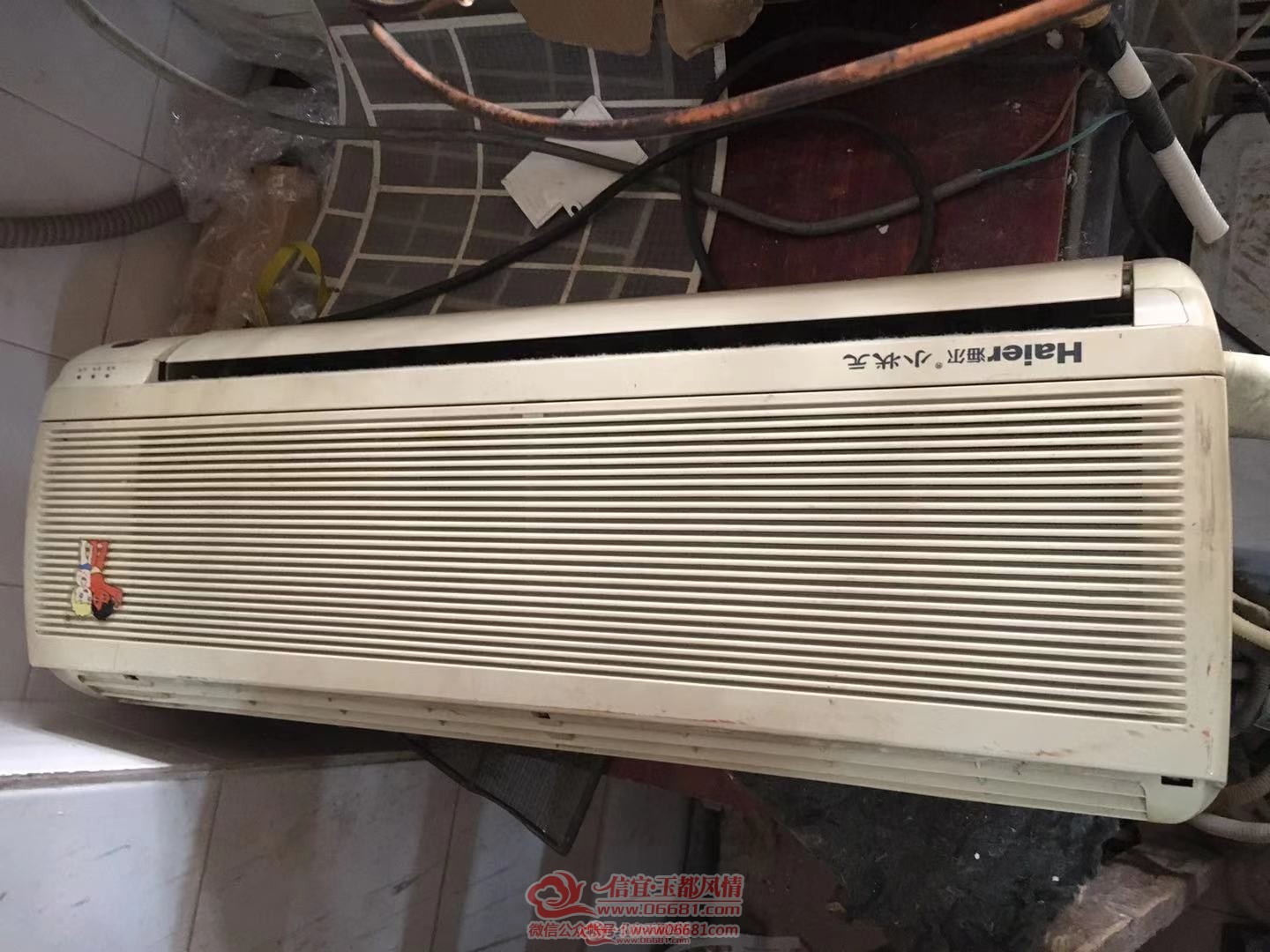 171831bf56whf1tcj12cwf.jpg