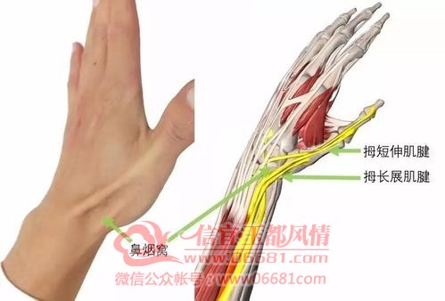 3��Ĵָ��չ���졢���켡��.jpg
