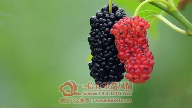 ΢��ͼƬ_20200324144315.jpg