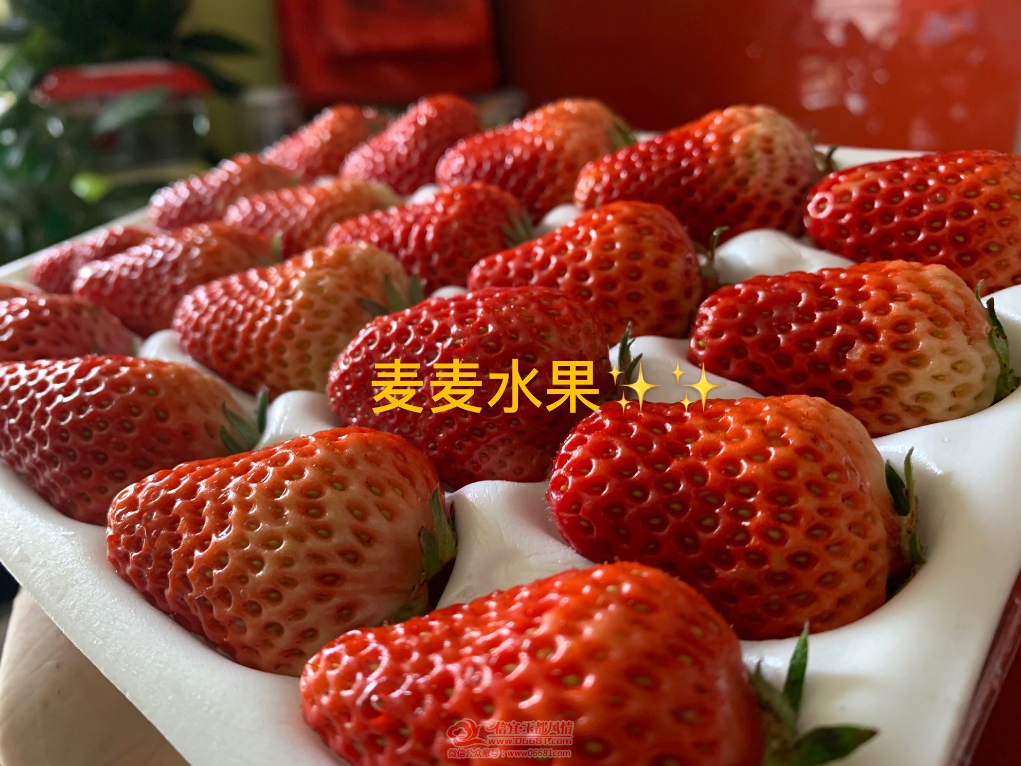 4ee4873d416d03d2074be29a2a21151.jpg