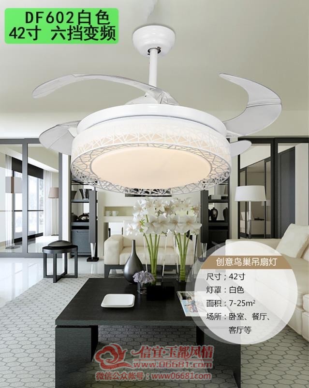 50BF73EA-9F89-4FAC-A524-5BCE91E8FC5C.jpeg