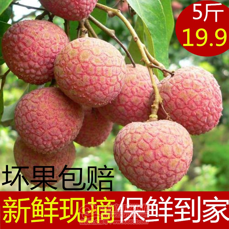 O1CN01zeWZRc1xOMUh9XCRD_!!417436433.jpg