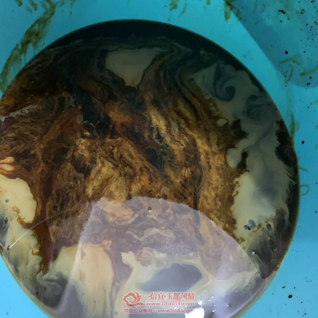ϴ����������8