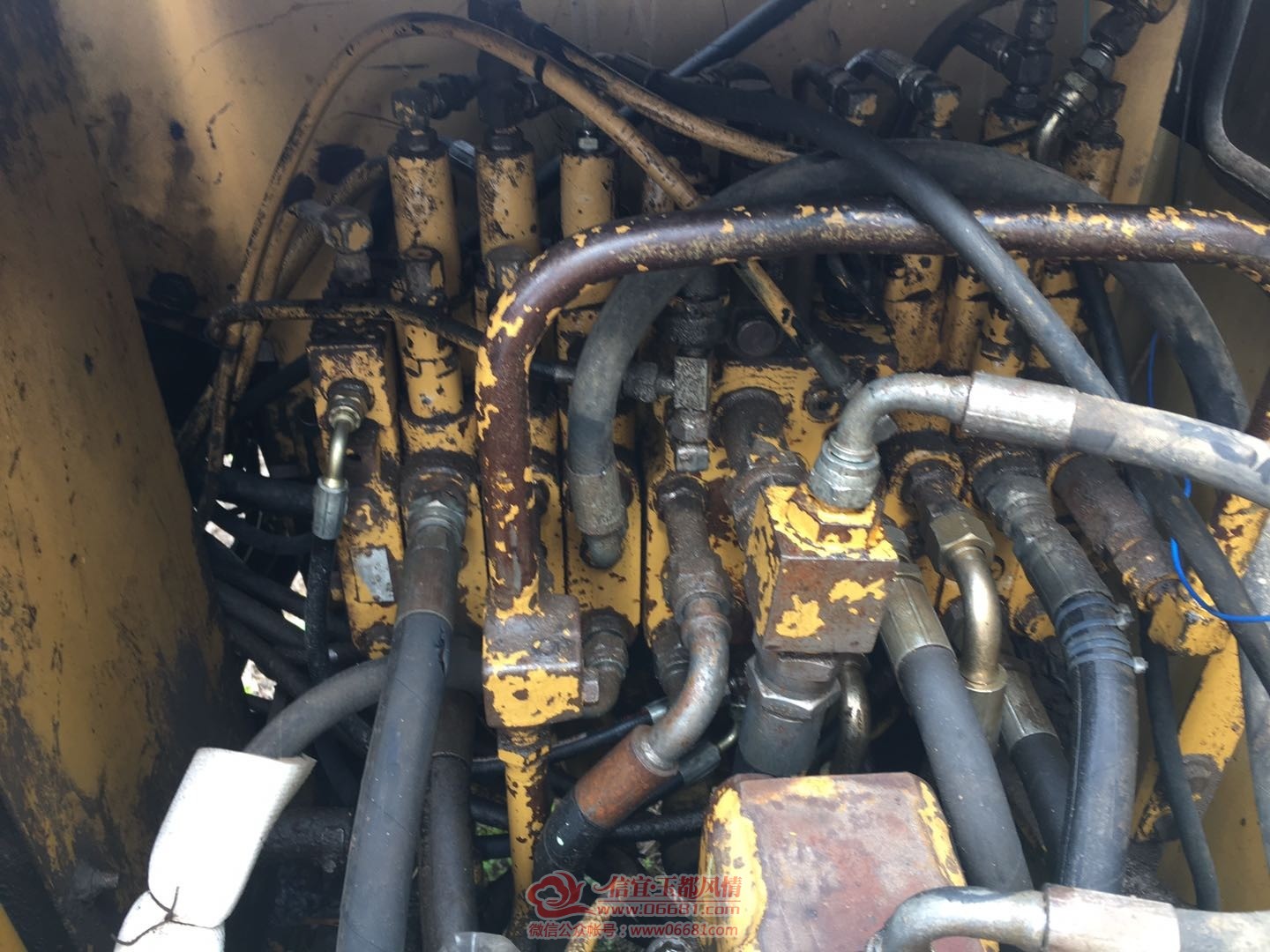 mmexport1592483090376.jpg