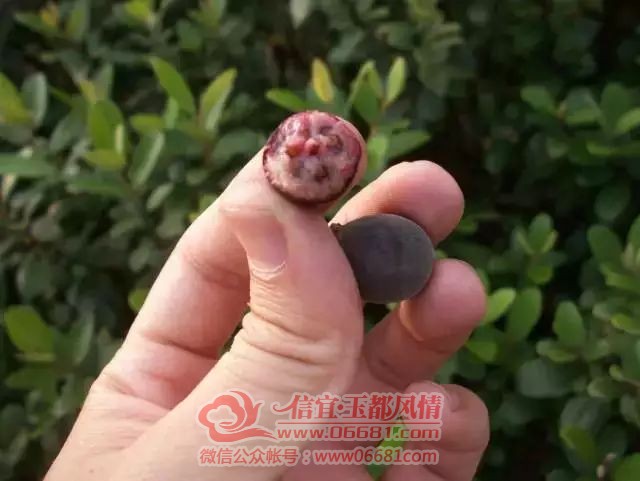 �����˳��Ե����� �۸���