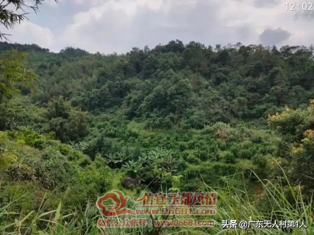 ΢��ͼƬ_20200729094958.jpg