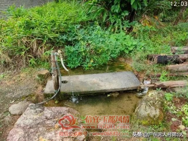 ΢��ͼƬ_20200729094955.jpg