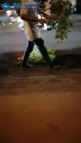 15988811353973.png