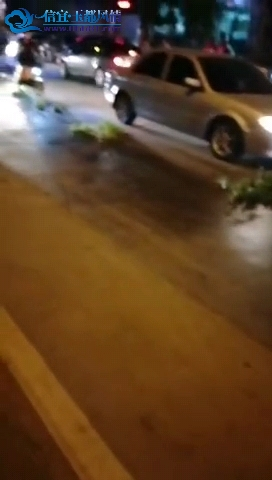 15988811353632.png
