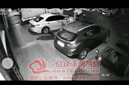 213427dp7010cbq5q1551q.jpg