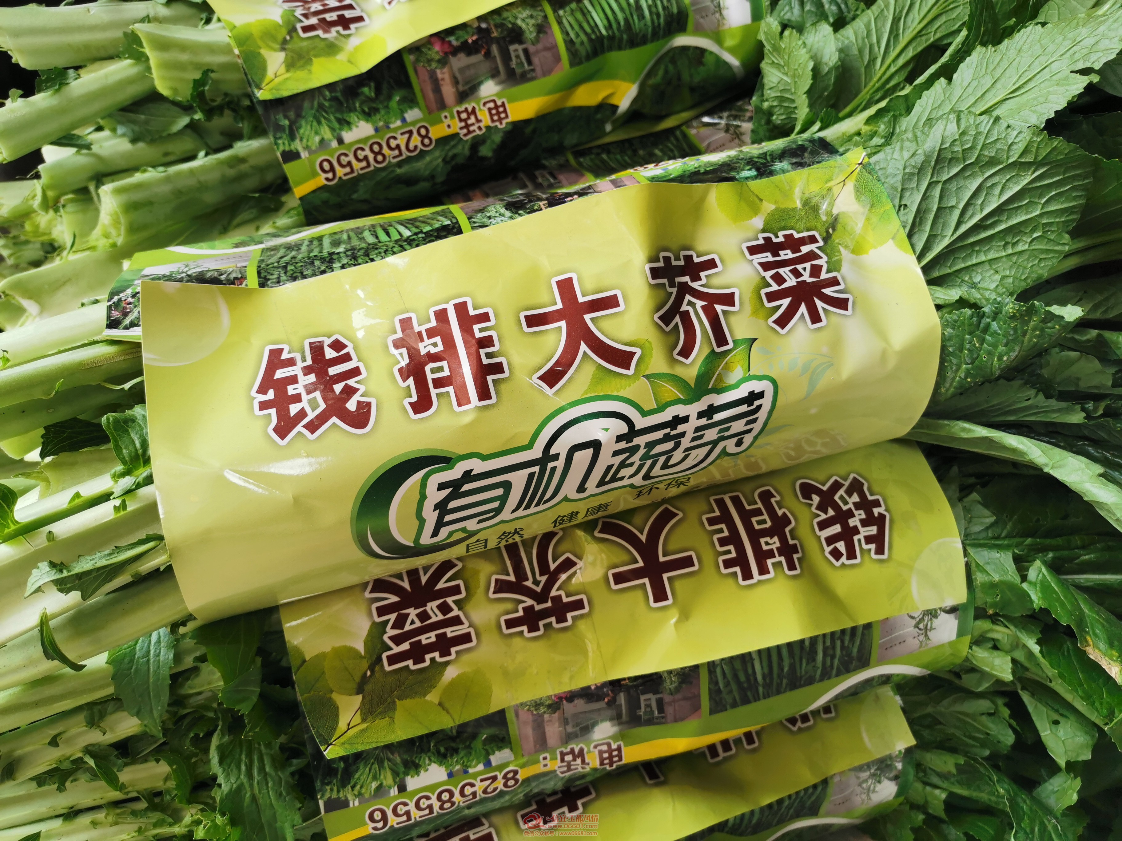 ����Ǯ�������� Ǯ�Ŵ���ͬʱ�ϰ�ʡ�š�