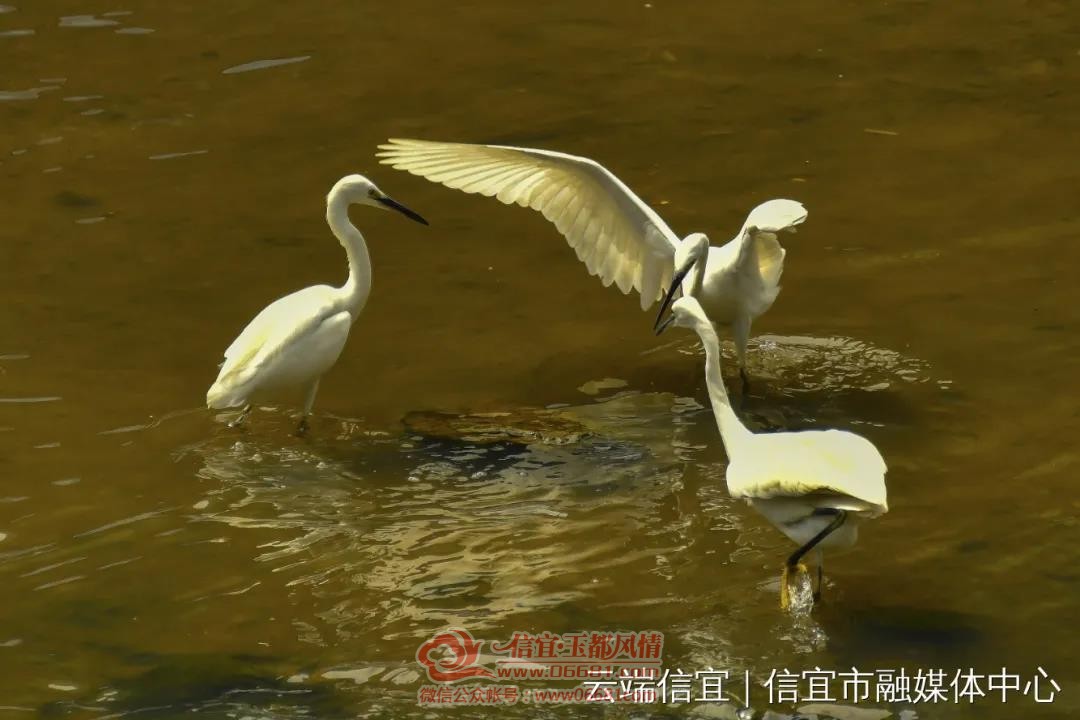 ΢��ͼƬ_20201025101803.jpg
