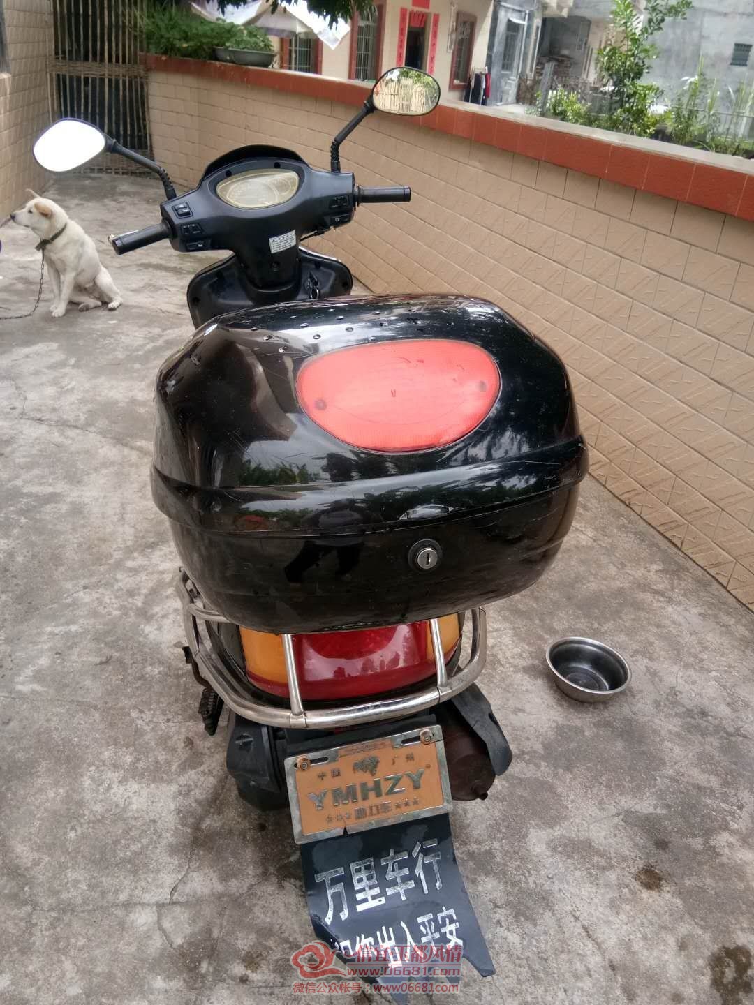 mmexport1604116779083.jpg