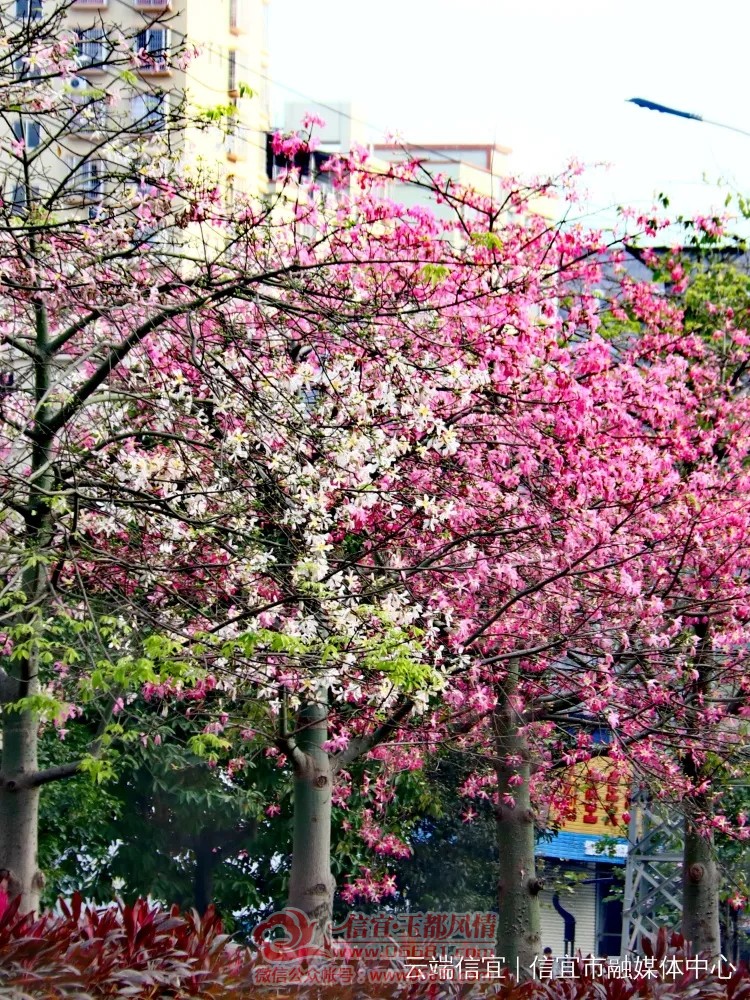 20201126_090259_006.jpg