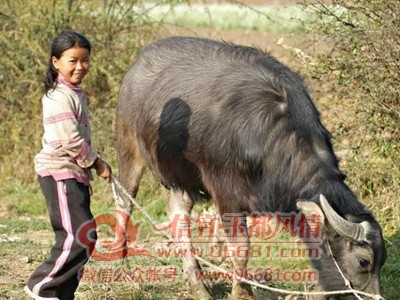 ΢��ͼƬ_20201218102433.jpg