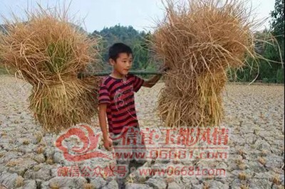 ΢��ͼƬ_20201218102754.jpg