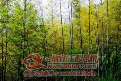 ΢��ͼƬ_20201220103210.jpg