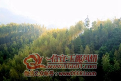 ΢��ͼƬ_20201220103206.jpg