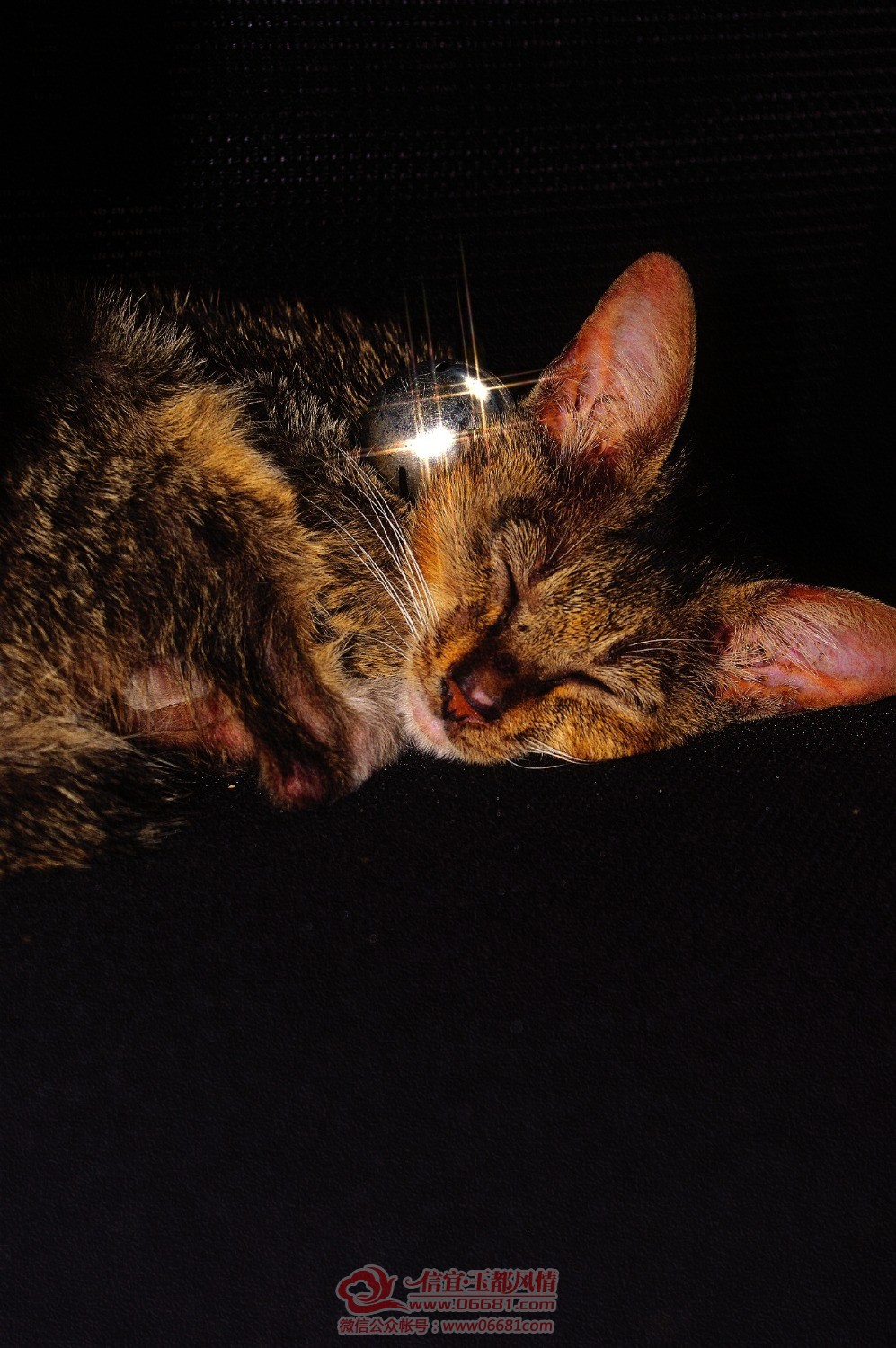 retouch_20201214131932.jpg