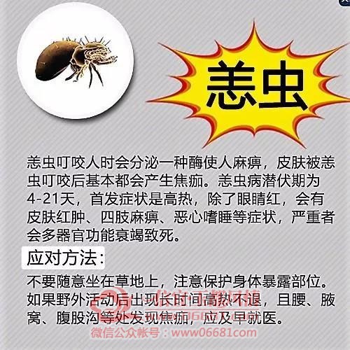 ΢��ͼƬ_20201230095946.jpg