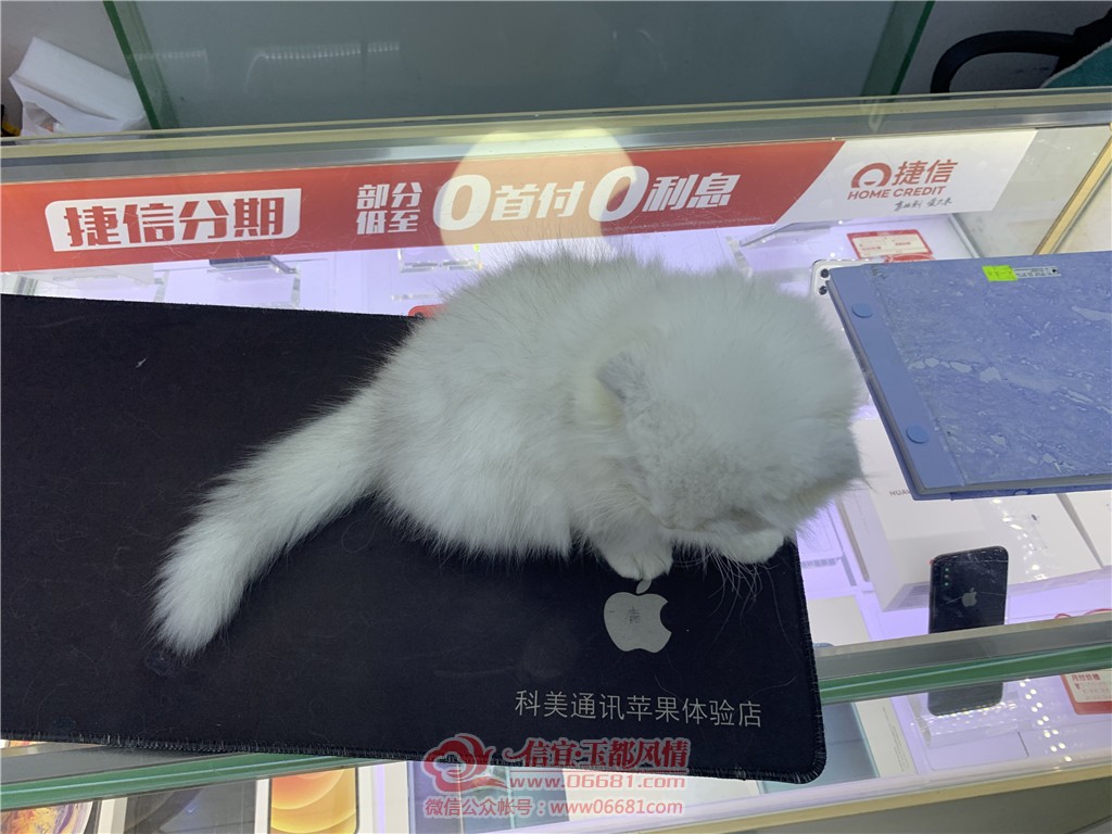 ΢��ͼƬ_202012312118365.jpg