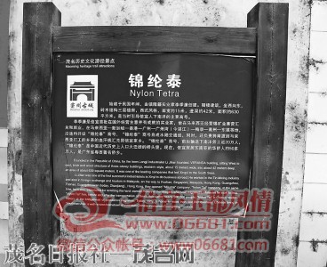 m_1986cb932b57c27b160dd0beaa237c40.jpg