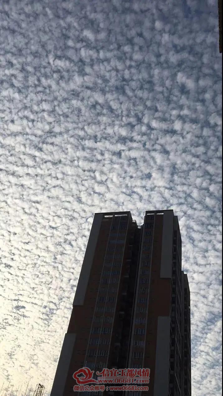 ΢��ͼƬ_20210208101644.jpg
