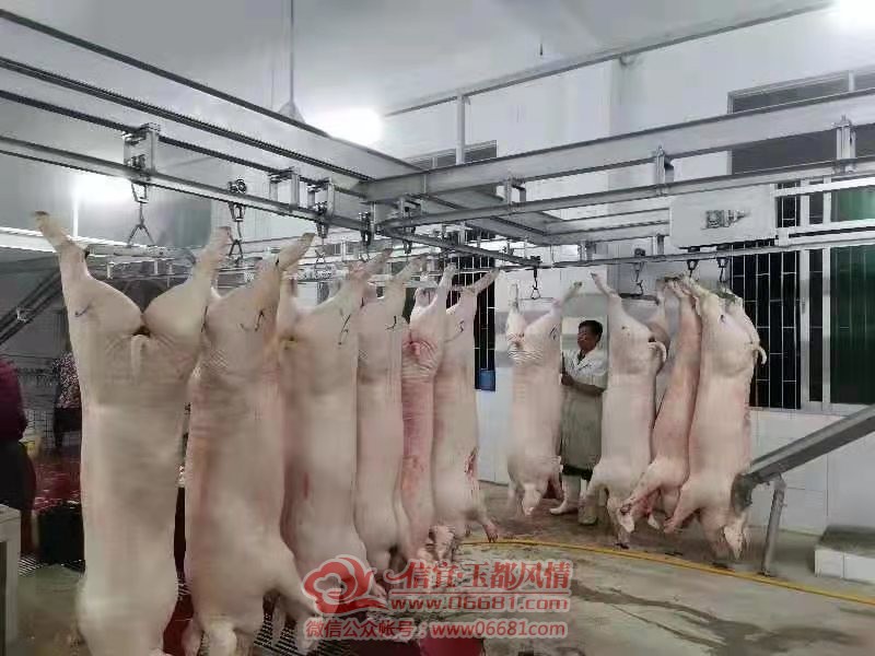 ������� ������Ⱥ��Ϊ��ʳƷ�İ�ȫ�����Ϳ���ظ�λ