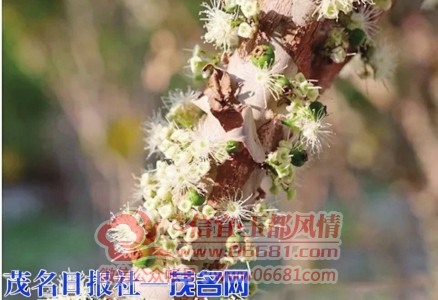 m_4802f47afa55b0dcbef0cff49940f04e.jpg