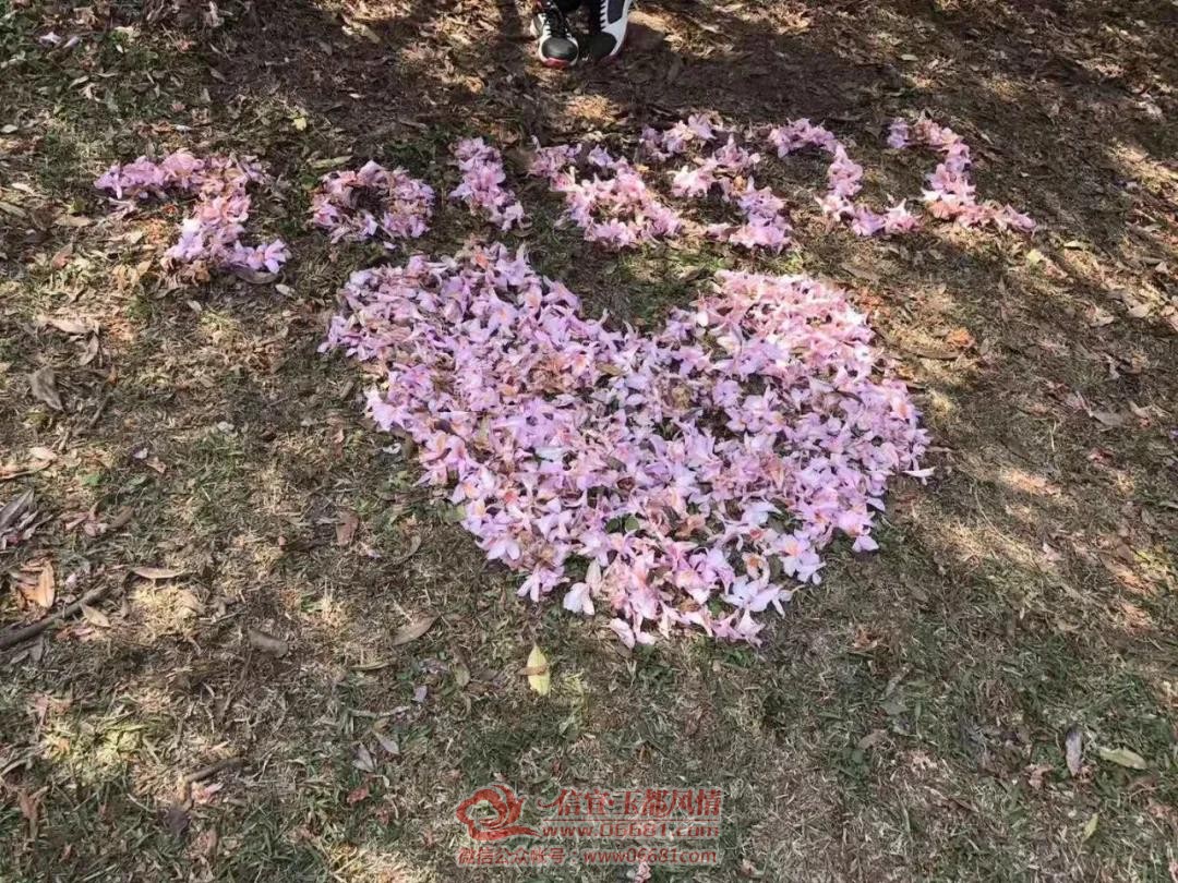 ΢��ͼƬ_20210315091318.jpg