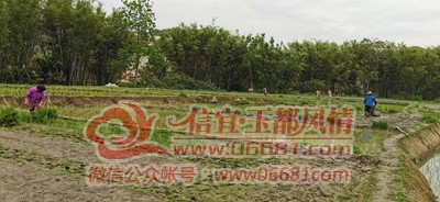 ΢��ͼƬ_20210322101808.jpg
