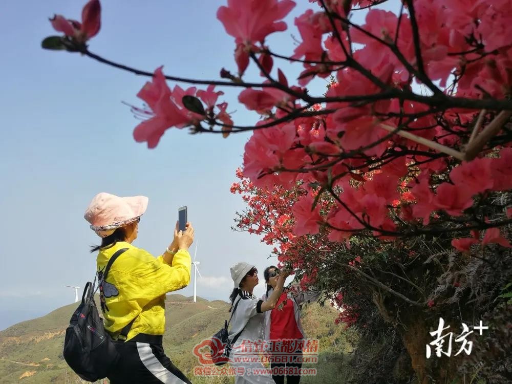 ���˴˴��糵+�ž飬��쾰ɫ����������