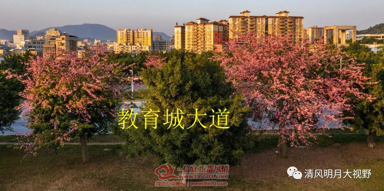 ΢��ͼƬ_20210516091715.jpg